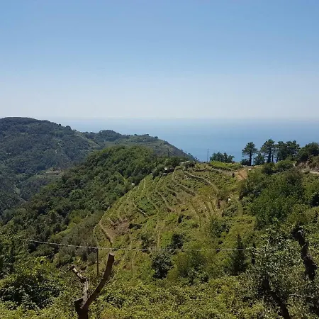 Piculla - 18th Century In Cinque Terre * Vernazza