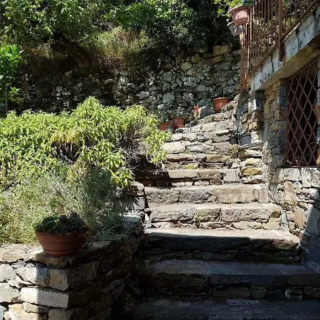 Piculla - 18th Century In Cinque Terre